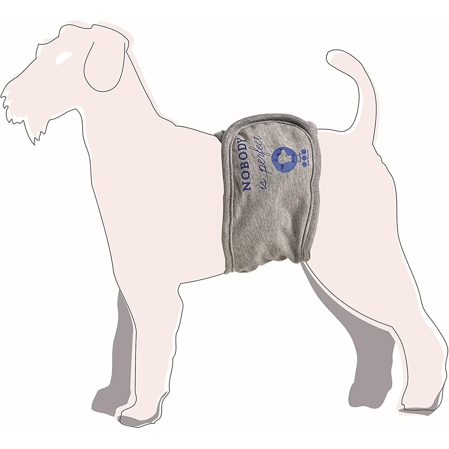 Camon - Fascia X Cani Maschi Blu Tg.L C220/4 Camon - Fascia X Cani Maschi Blu Tg.L C220/4